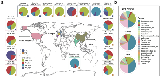 全球肠道真菌分布热力图