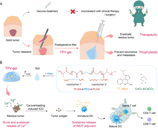 疫苗组VS标准治疗组