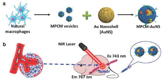 纳米颗粒载药机制动态示意图