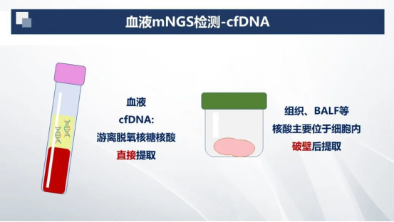 血液样本 血液样本
