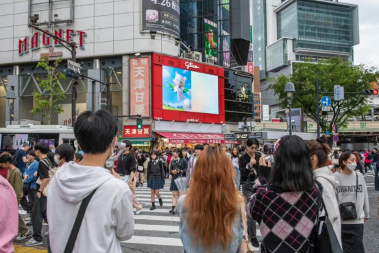 从“脆皮”到“钛合金”的进化之路
