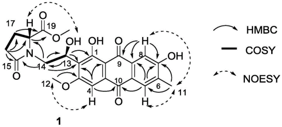 蒽醌类成分分子结构及对肠壁的侵蚀过程示意图 蒽醌类成分分子结构及对肠壁的侵蚀过程示意图