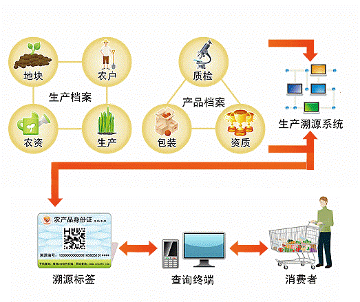 种植基地录入”“加工过程追溯”“消费者扫码查询”环节 种植基地录入”“加工过程追溯”“消费者扫码查询”环节