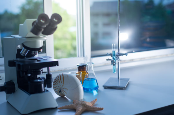 实验室显微镜下的保温杯内壁刮取物,可见金属颗粒与微生物共生 实验室显微镜下的保温杯内壁刮取物,可见金属颗粒与微生物共生