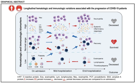 激素紊乱 激素紊乱