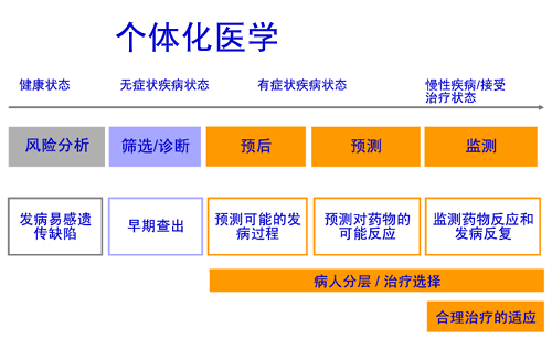 个体化治疗与早筛体系的构建 个体化治疗与早筛体系的构建
