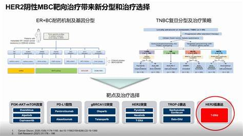 从“非阴即阳”到“连续谱系”:HER2低表达患者的身份重构 从“非阴即阳”到“连续谱系”:HER2低表达患者的身份重构