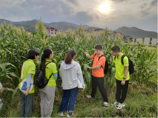 落地实践:AI早筛下乡的“国内样本” 落地实践:AI早筛下乡的“国内样本”