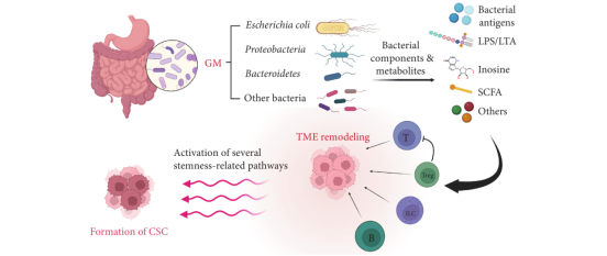重塑医疗生态的链式反应 重塑医疗生态的链式反应