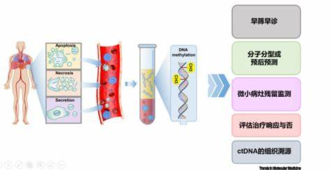 技术光环下的“一滴血”神话 技术光环下的“一滴血”神话