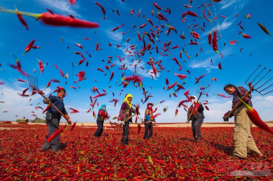 攻坚之路:政策实施中的现实挑战 攻坚之路:政策实施中的现实挑战