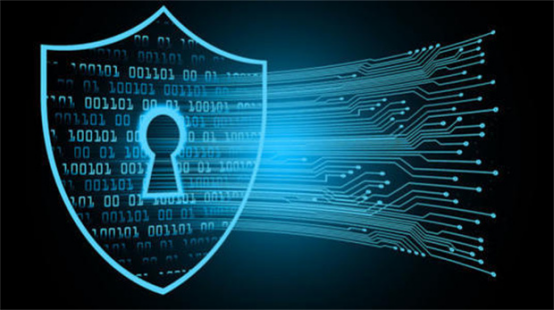 全球应对:从监测漏洞到防控升级 全球应对:从监测漏洞到防控升级