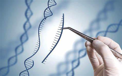 争议焦点:科学与伦理的双重困境 争议焦点:科学与伦理的双重困境