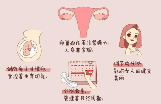 育龄女性的早期症状:容易被忽视的“身体信号” 育龄女性的早期症状:容易被忽视的“身体信号”