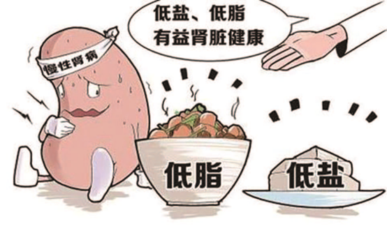 慢性肾病的致病因素与预防策略 慢性肾病的致病因素与预防策略