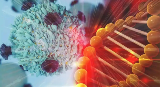 生物标志物与精准分型:开启个体化治疗时代 生物标志物与精准分型:开启个体化治疗时代