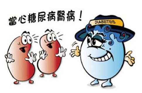 糖尿病与高血压:肾病的“双重暴击” 糖尿病与高血压:肾病的“双重暴击”