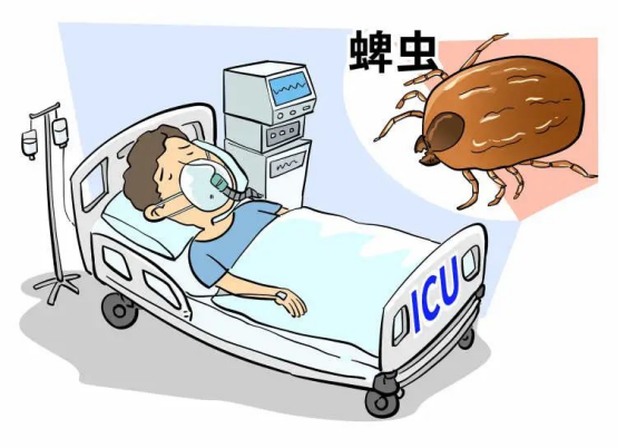 发热伴血小板减少综合征的预防措施 发热伴血小板减少综合征的预防措施