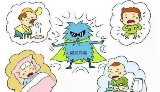 诺如病毒肠炎的病原学与流行特征 诺如病毒肠炎的病原学与流行特征