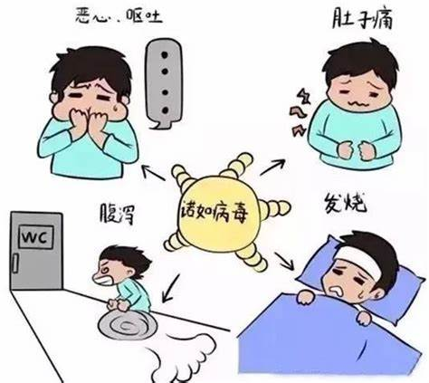 诺如病毒肠炎的临床表现与高危人群 诺如病毒肠炎的临床表现与高危人群