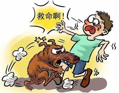 狂犬病暴露风险的现状与挑战 狂犬病暴露风险的现状与挑战