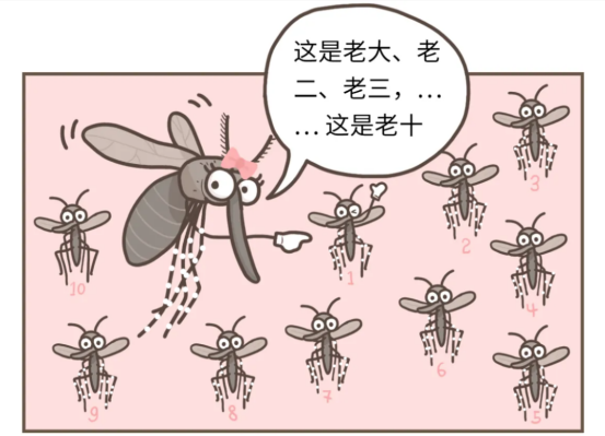 登革热:被低估的“都市瘟疫” 登革热:被低估的“都市瘟疫”