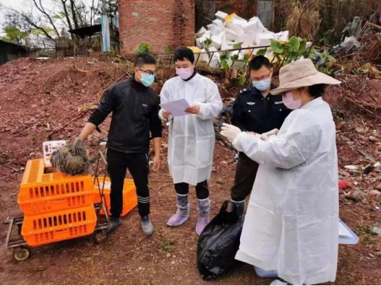 预防策略：构筑四道健康防线