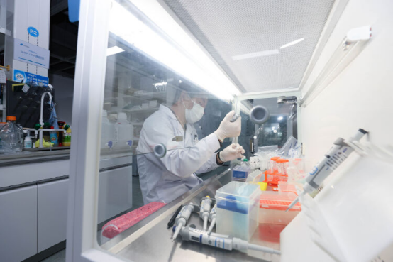 从实验室到临床的跨越 从实验室到临床的跨越