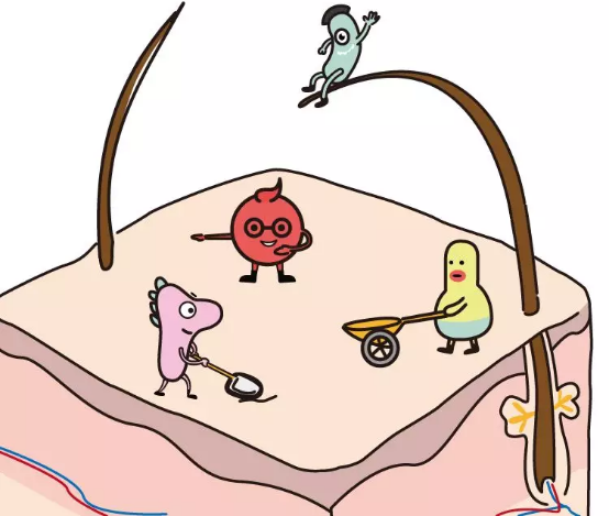 重塑皮肤癌防治体系 重塑皮肤癌防治体系