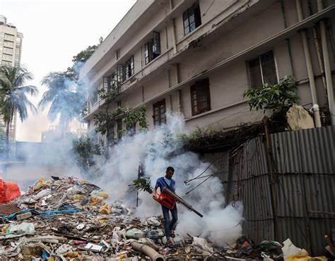 东南亚登革热疫情现状与挑战 东南亚登革热疫情现状与挑战