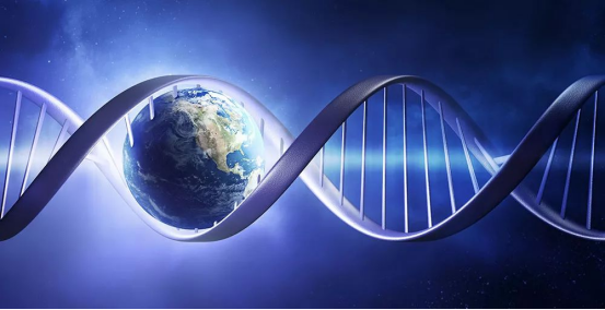 挑战与展望:基因治疗的未来之路 挑战与展望:基因治疗的未来之路