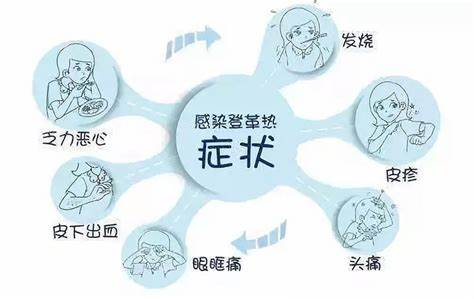 登革热疫情的成因分析 登革热疫情的成因分析