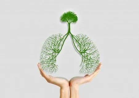 我国肺结核耐药性问题现状 我国肺结核耐药性问题现状