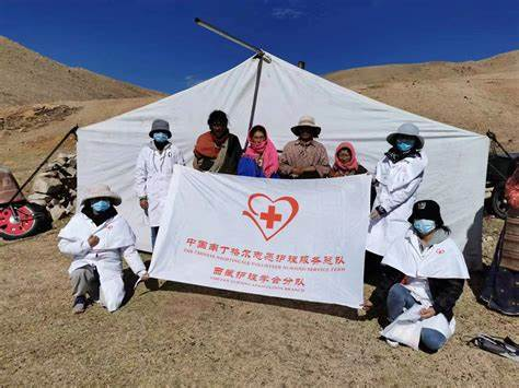 青藏高原医疗资源现状与挑战 青藏高原医疗资源现状与挑战