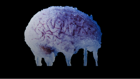 冷冻人脑组织复活实验的科学突破 冷冻人脑组织复活实验的科学突破