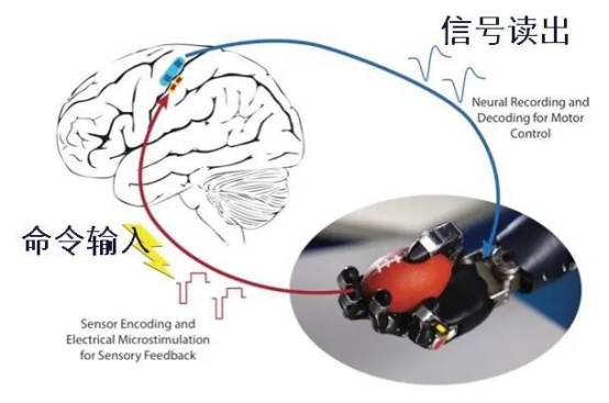 脑机接口干预技术的原理与应用 脑机接口干预技术的原理与应用