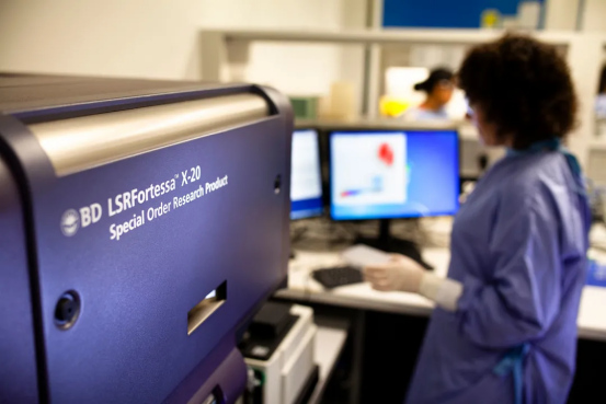 澳洲批准的背景:临床试验与监管考量 澳洲批准的背景:临床试验与监管考量