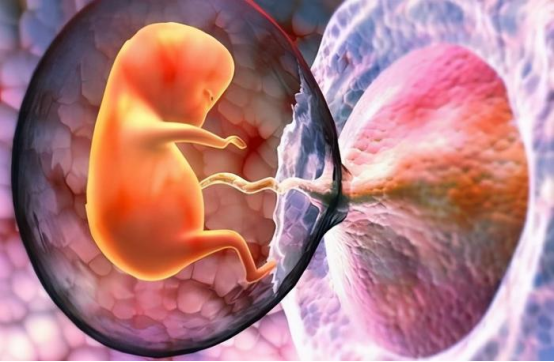 微塑料入侵人体胎盘:科学研究的警示 微塑料入侵人体胎盘:科学研究的警示