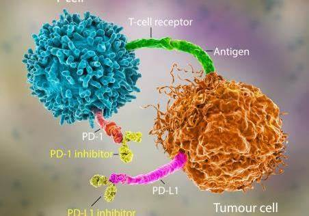 ISM5939在TNBC治疗中的突破性疗效 ISM5939在TNBC治疗中的突破性疗效