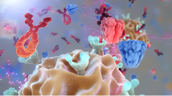 药物作用机制与科学依据 药物作用机制与科学依据