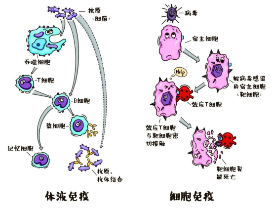 行业变革:从“被动扑杀”到“主动免疫” 行业变革:从“被动扑杀”到“主动免疫”
