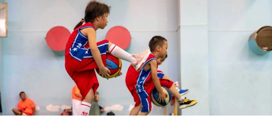 挑战与应对:从“野蛮生长”到“规范发展”的深化 挑战与应对:从“野蛮生长”到“规范发展”的深化