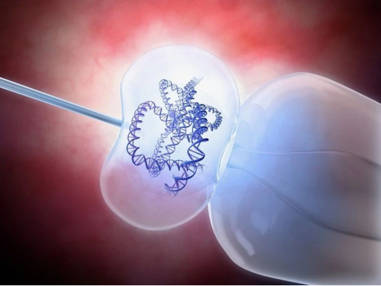 全球首例基因编辑治愈“泡泡男孩”案例解析 全球首例基因编辑治愈“泡泡男孩”案例解析