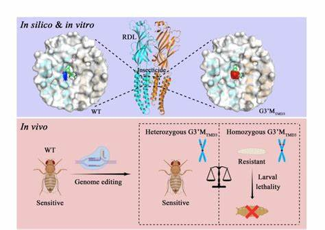 Rozebalamin的研发背景与作用机制 Rozebalamin的研发背景与作用机制