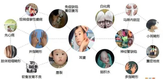 罕见病数据库建设的未来展望 罕见病数据库建设的未来展望