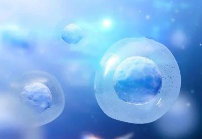 NAD+补充剂的市场挑战与问题 NAD+补充剂的市场挑战与问题