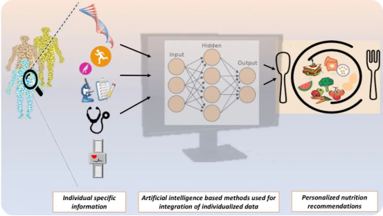 技术革新:个性化营养的基石 技术革新:个性化营养的基石