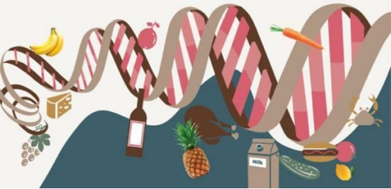 市场需求:个性化营养的驱动力 市场需求:个性化营养的驱动力