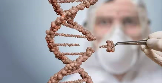 事件回溯:从"科学突破"到"伦理灾难" 事件回溯:从"科学突破"到"伦理灾难"