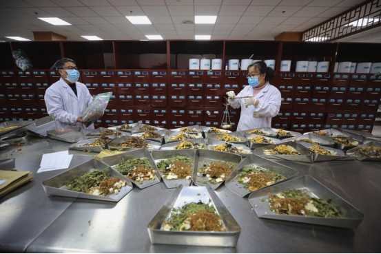 中医药现代化的国内方案 中医药现代化的国内方案